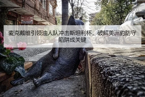 麦克戴维引领油人队冲击斯坦利杯，破解美洲豹防守陷阱成关键