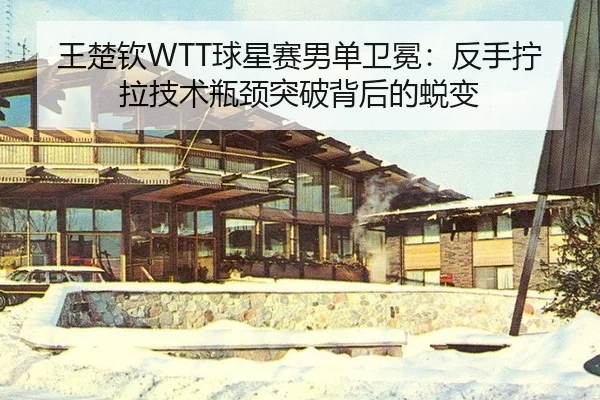 王楚钦WTT球星赛男单卫冕：反手拧拉技术瓶颈突破背后的蜕变