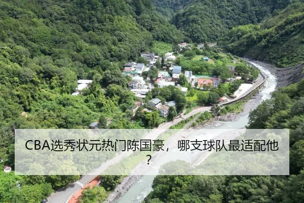CBA选秀状元热门陈国豪，哪支球队最适配他？